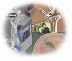 Fiberlab